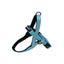 Alcott Norwegian Harness