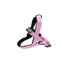 Alcott Norwegian Harness