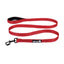 Alcott Adventure Nylon Leashes