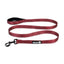 Alcott Adventure Nylon Leashes