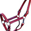 Beiler'S Track Halter