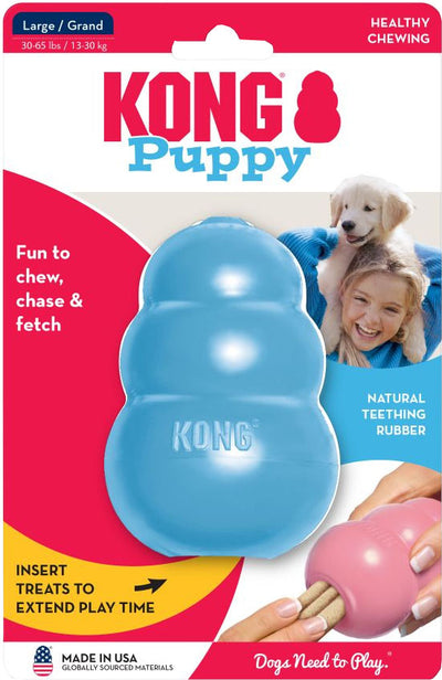 Kong Puppy