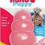 Kong Puppy