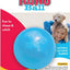 Kong Puppy Ball