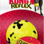 Kong Reflex Ball