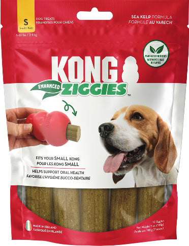 Kong Ziggies Enhanced Dog Treats