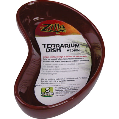 Kidney Bowl Terrarium Dish