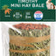 KAYTEE TIMOTHY MINI HAY BALE
