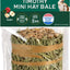 KAYTEE TIMOTHY MINI HAY BALE