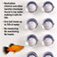 Packaged Aqueon AquaPacs Water Conditioner with 12 clear plastic balls in a blister pack.
