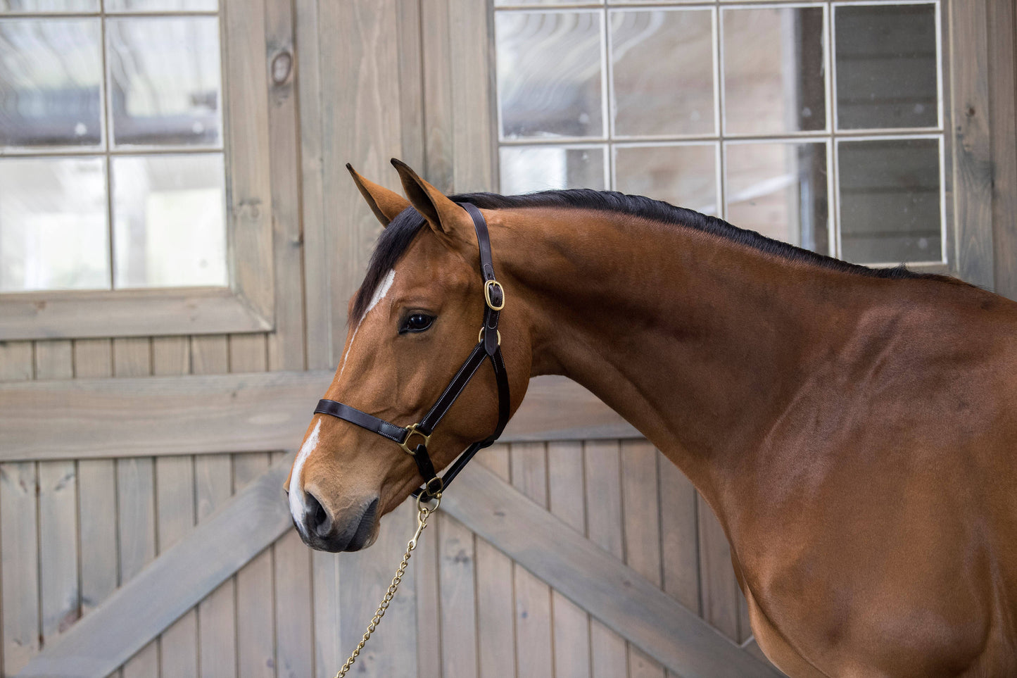 Gatsby Leather Adjustable Turnout Halter