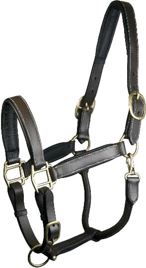 Gatsby Adjustable Padded Leather Halter in Havana/Cob color, front view close-up