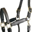 Gatsby Adjustable Padded Leather Halter in Havana color, front view close-up of black leather with brass hardware
