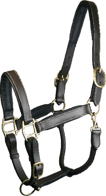 Gatsby Adjustable Padded Leather Halter in Havana color, front view close-up of black leather with brass hardware