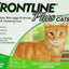 Frontline Plus For Cats & Kittens