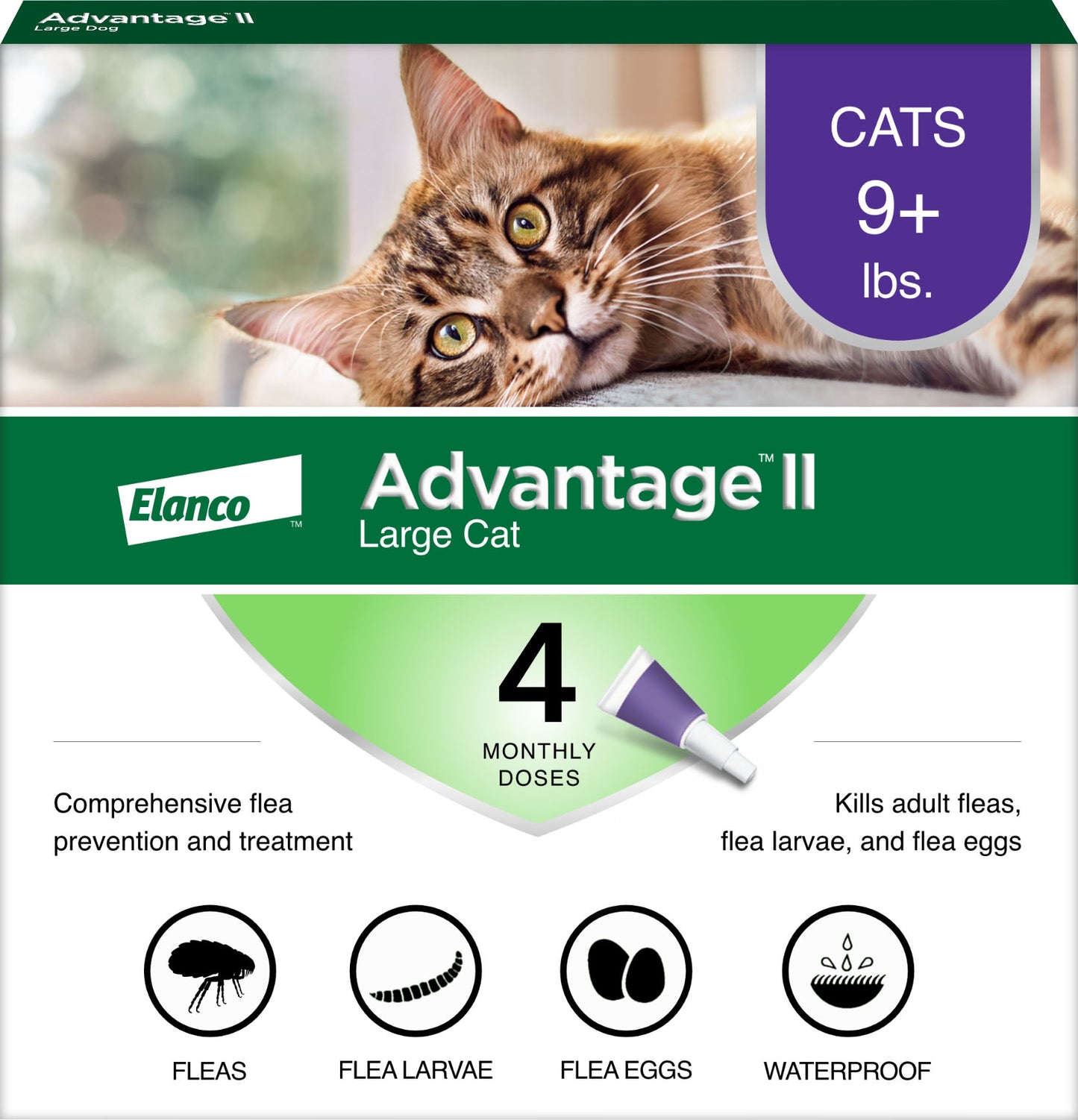 Advantage Ll For Cats