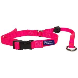 Premier Pets Gentle Leader Headcollar, Petite, Hot Pink with DVD