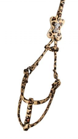 Hip Doggie Leopard Bone Step-in Harness, X-Small