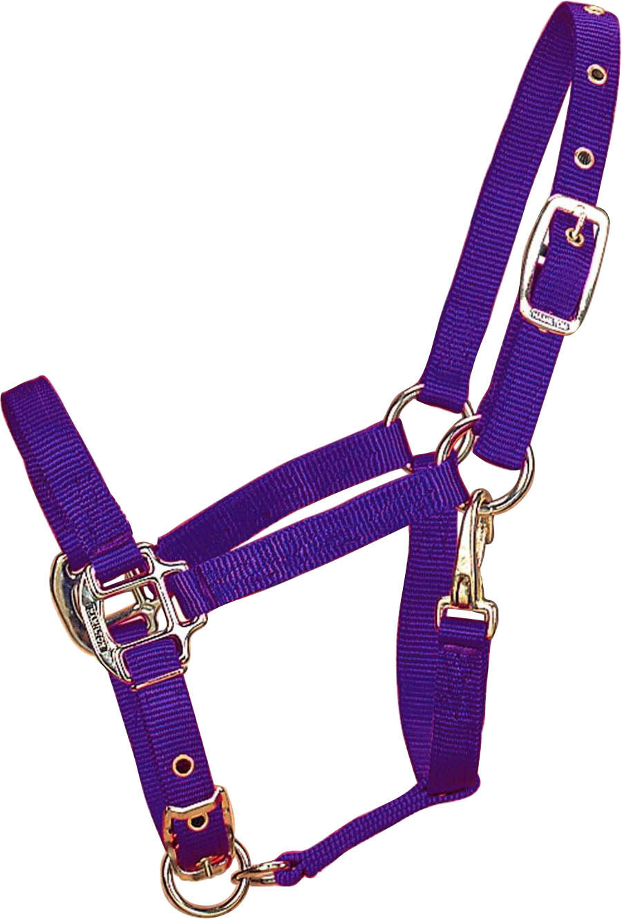 Hamilton Adjustable Chin Halter W/Snap