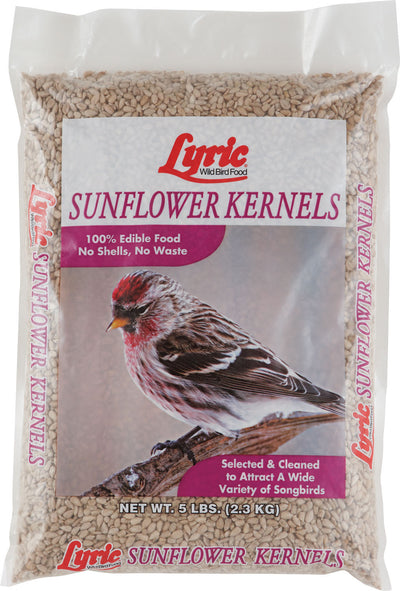 Lyric Sunflower Kernels