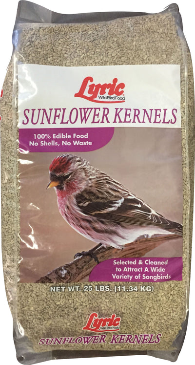 Lyric Sunflower Kernels