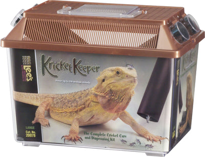Kricket Keeper