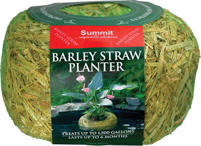 Packaged Summit Barley Straw Planter with green netting and red label showing plant in water