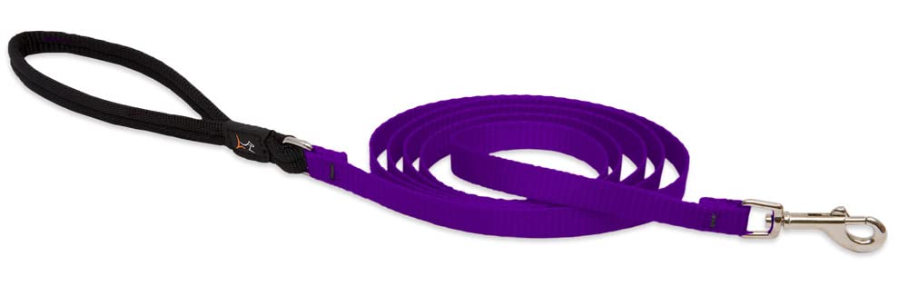 LupinePet Basics 1/2" Purple 6-foot Padded Handle Leash for Small Pets