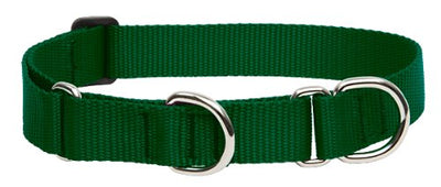 LupinePet Basics 1" Green 15-22" Martingale Collar for Medium and Larger Dogs