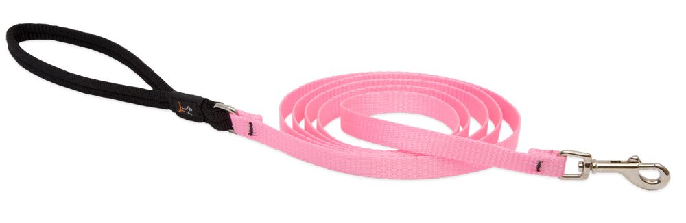 LupinePet Basics 1/2" Pink 6-foot Padded Handle Leash for Small Pets