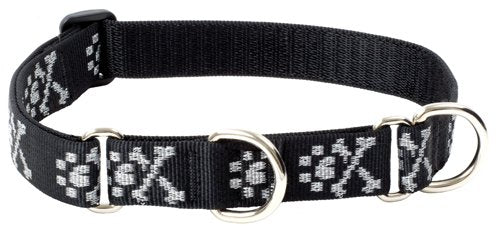 LupinePet Originals 1" Bling Bonz 15-22" Martingale Collar for Medium and Larger Dogs