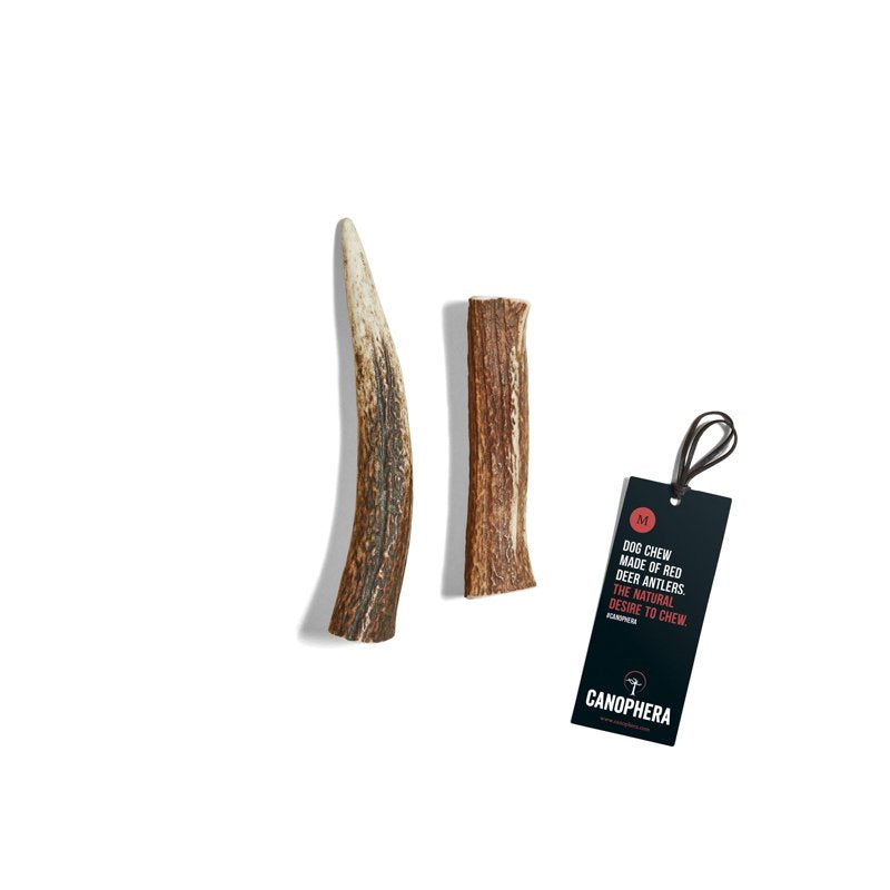 Canophera Whole Antler