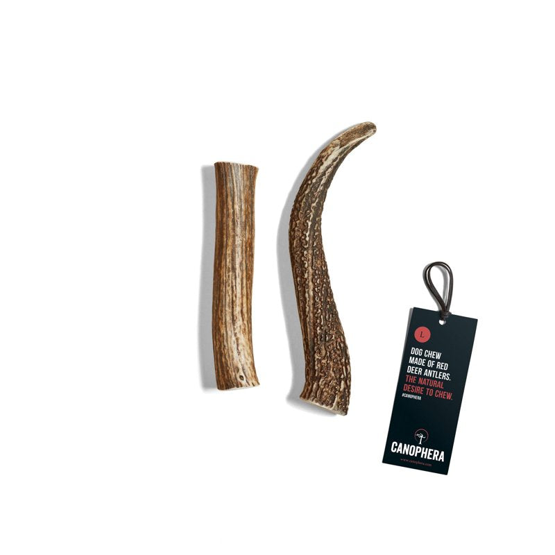 Canophera All-Natural Split Red Deer Antlers - Long-Lasting, Sustainably Sourced Dog Chews - Odor-Free, Supports Dental Health - Ideal for Power Chewers (Large)