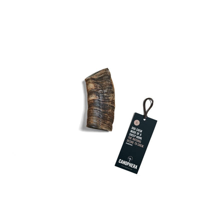 Canophera Sheep Horn