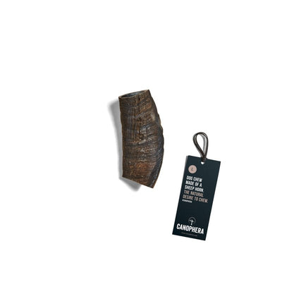 Canophera Sheep Horn