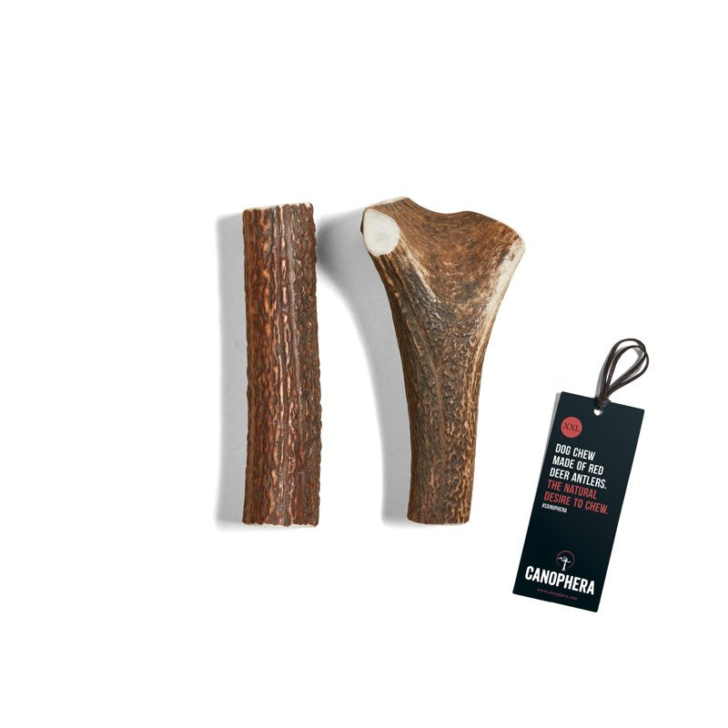 Canophera Whole Antler