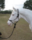Hamilton Adult Rope Halter W/Lead