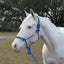 Hamilton Adult Rope Halter W/Lead