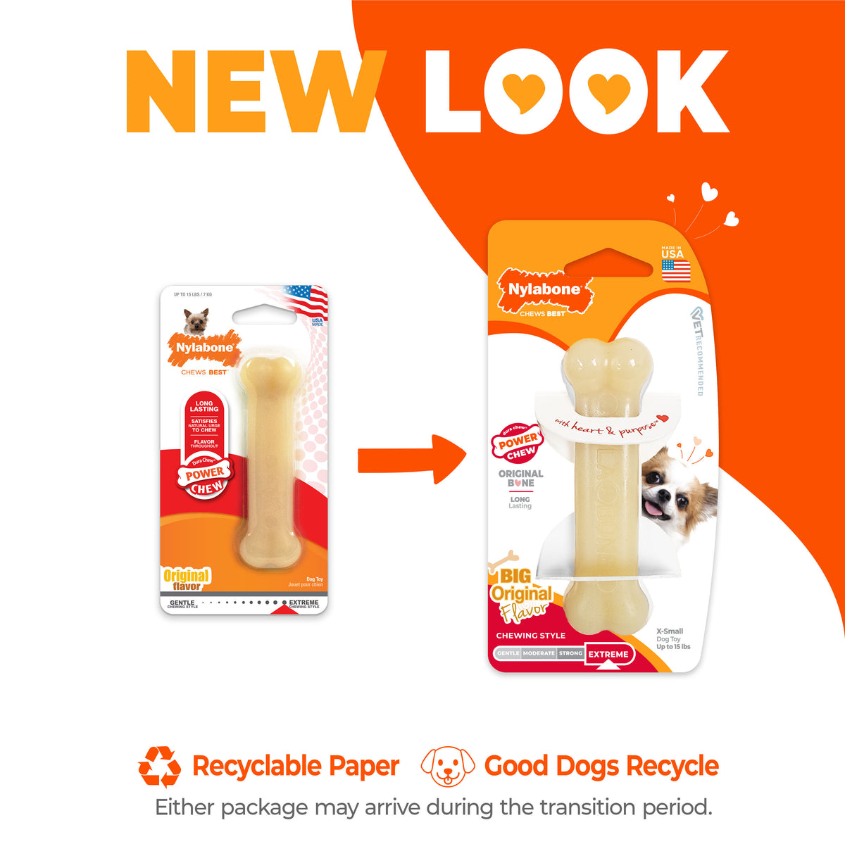 Nylabone Power Chew Bone