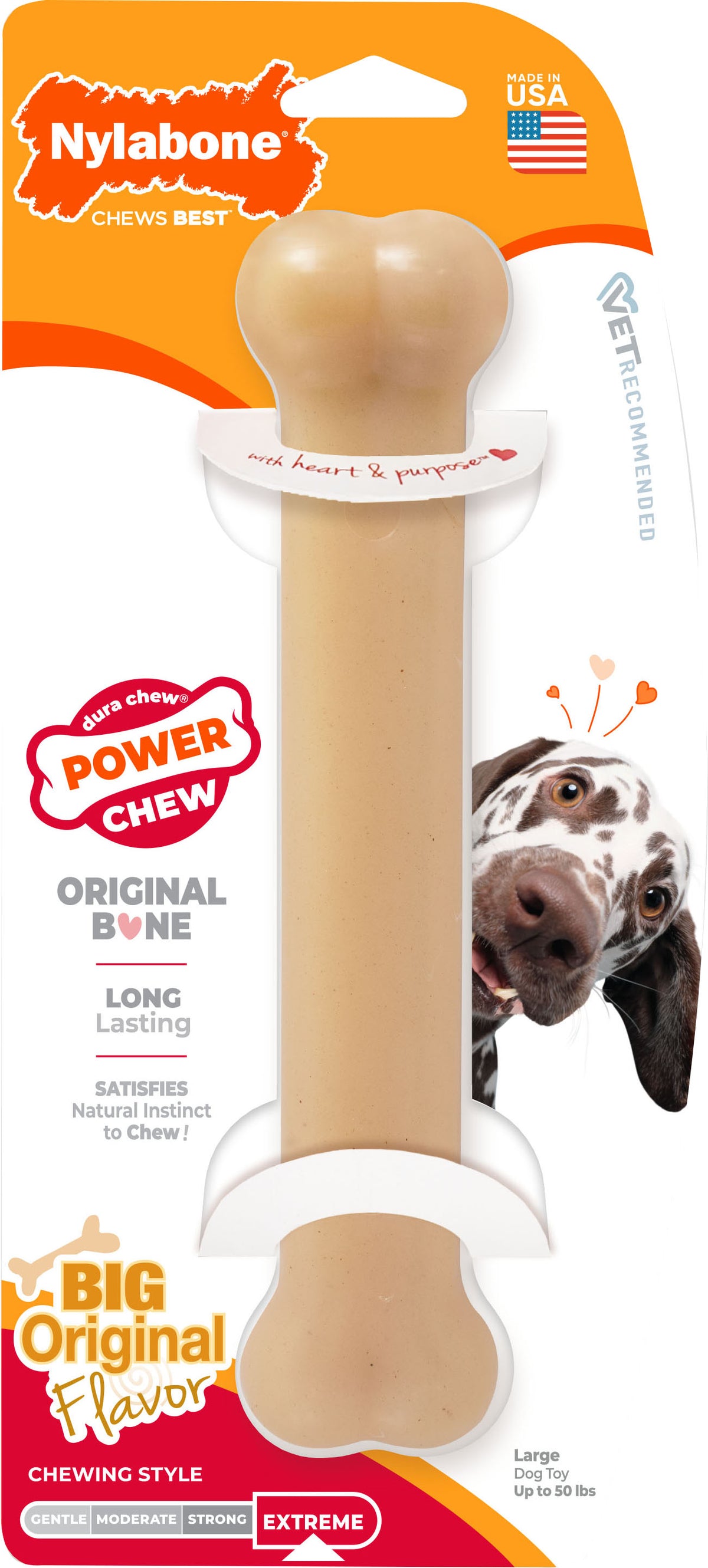 Nylabone Power Chew Bone