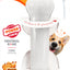 Nylabone Power Chew Bone