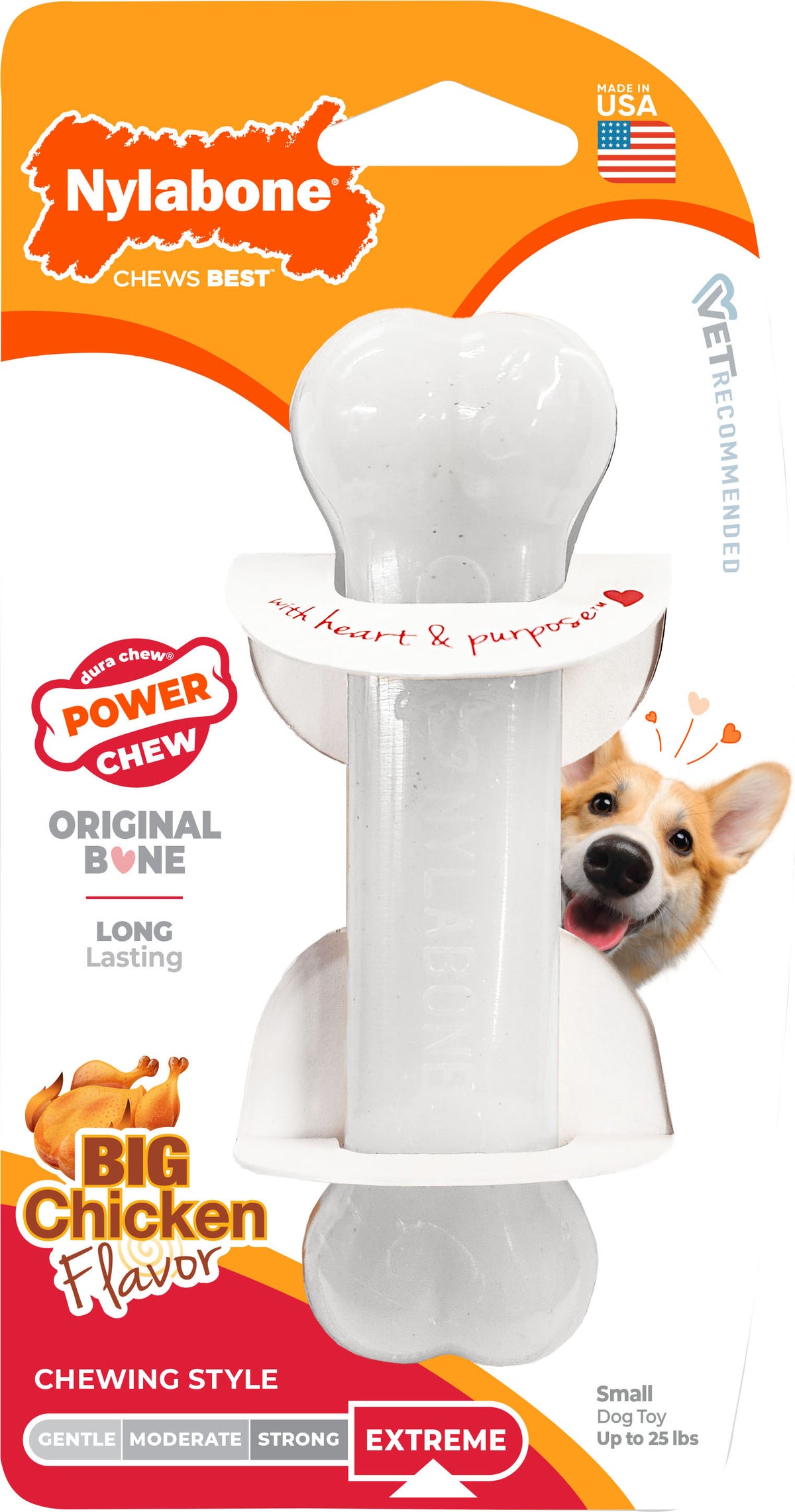 Nylabone Power Chew Bone