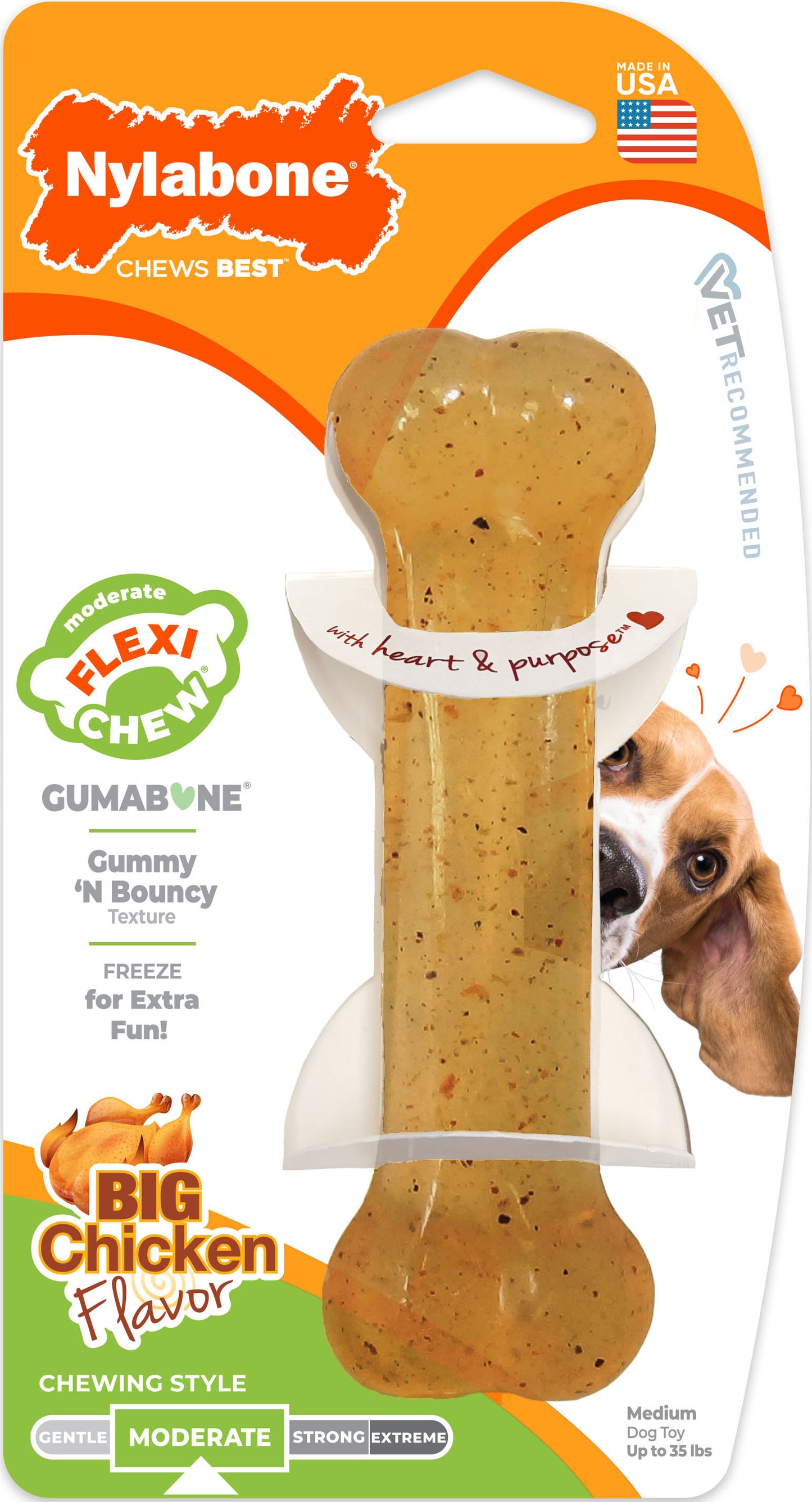 Nylabone Moderate Chew Bone