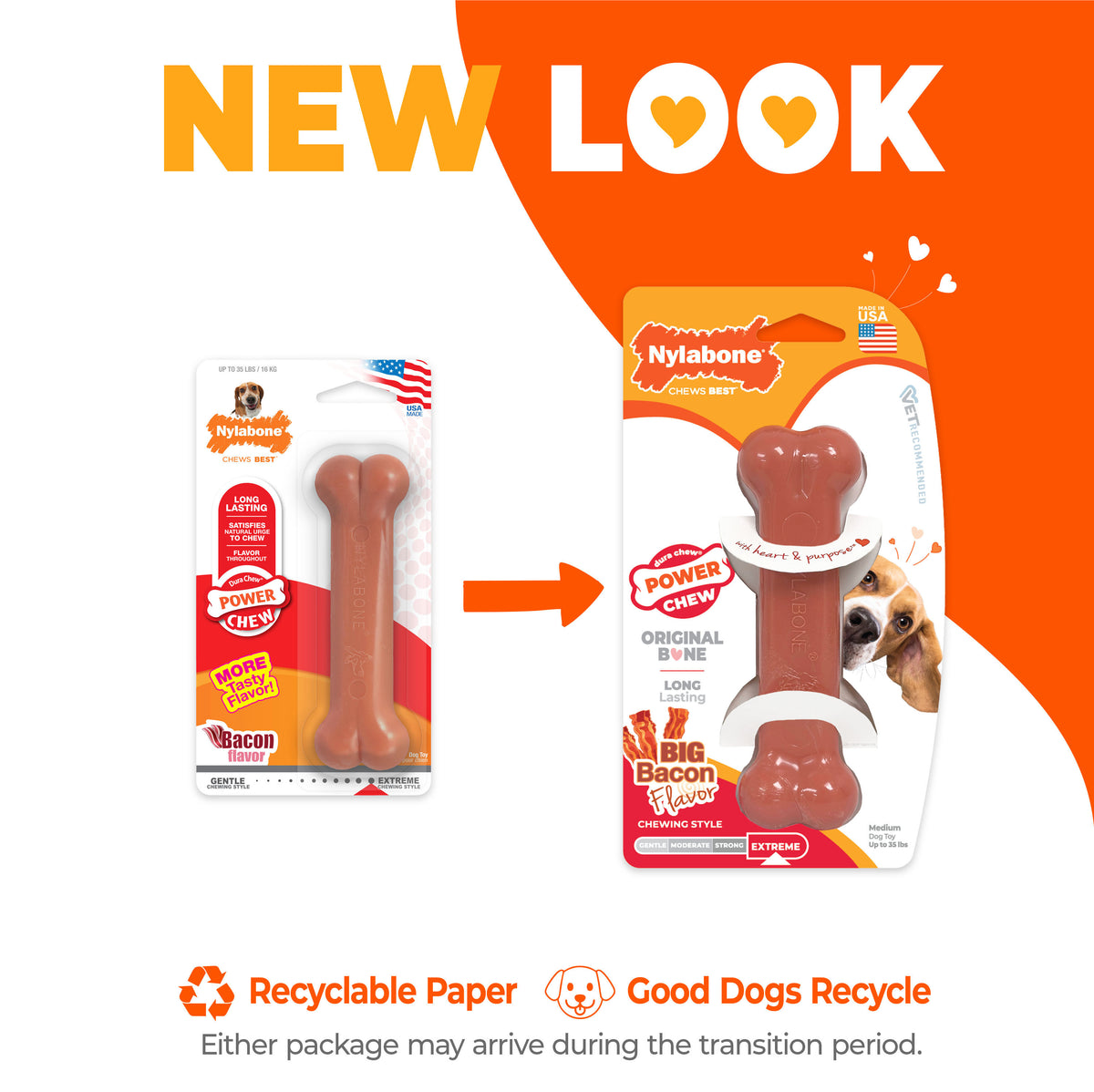 Nylabone Power Chew Bone