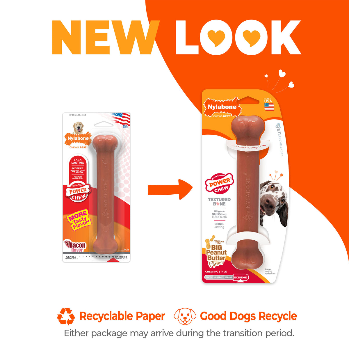 Nylabone Power Chew Bone