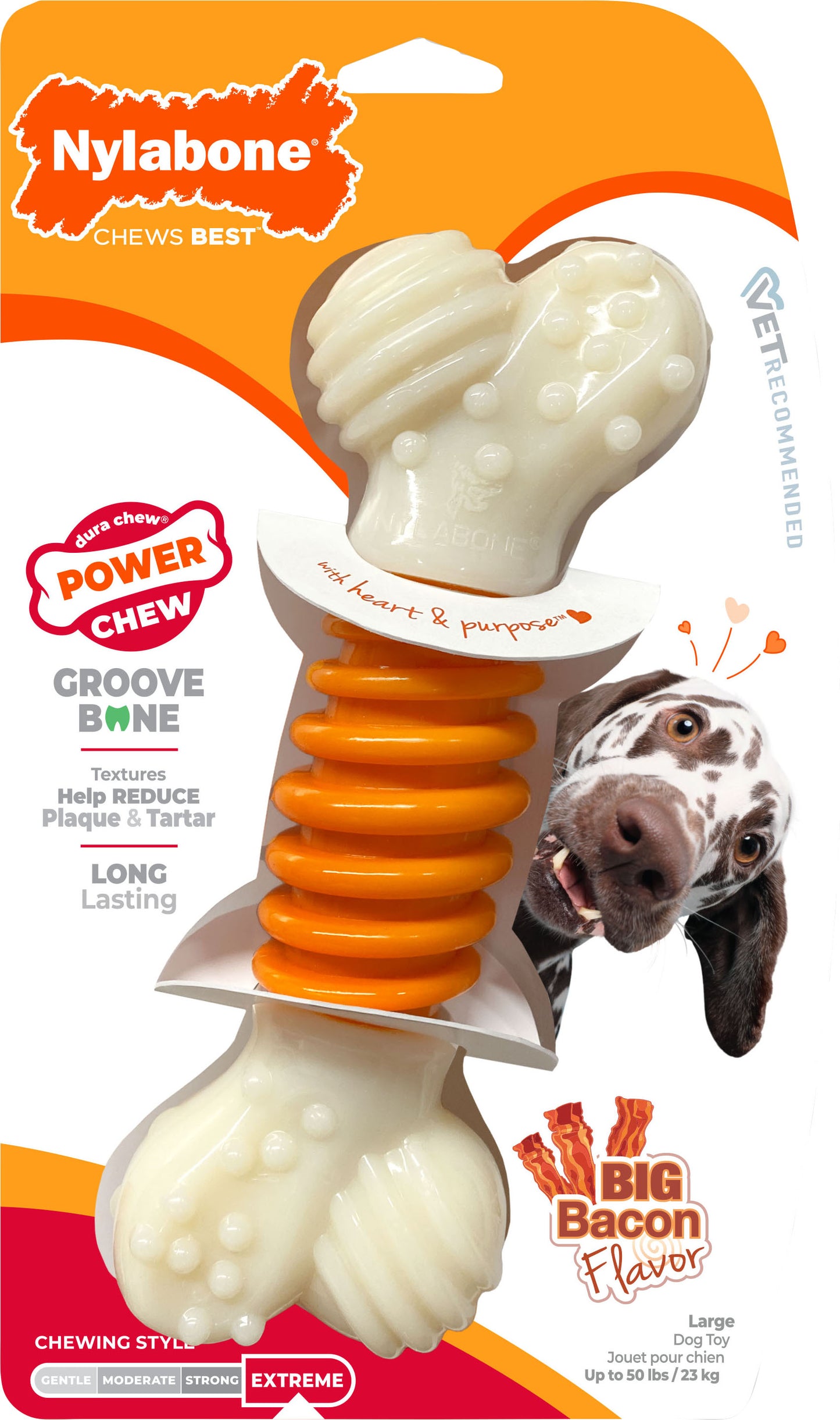 NYLABONE POWER CHEW PRO ACTION DENTAL