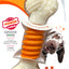 NYLABONE POWER CHEW PRO ACTION DENTAL