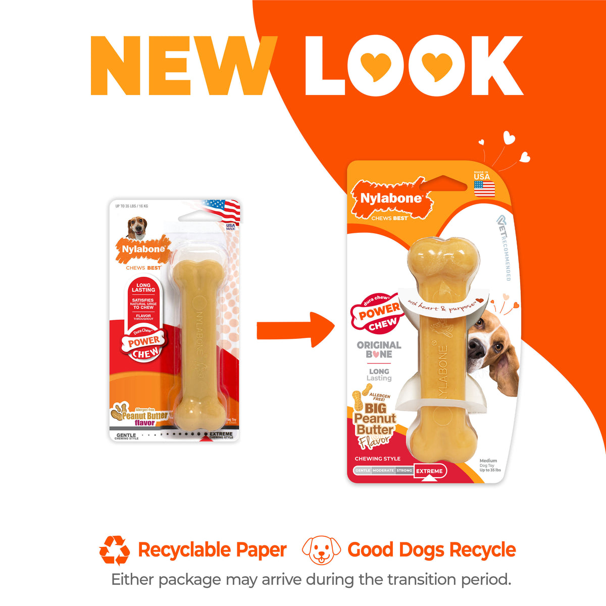Nylabone Power Chew Bone