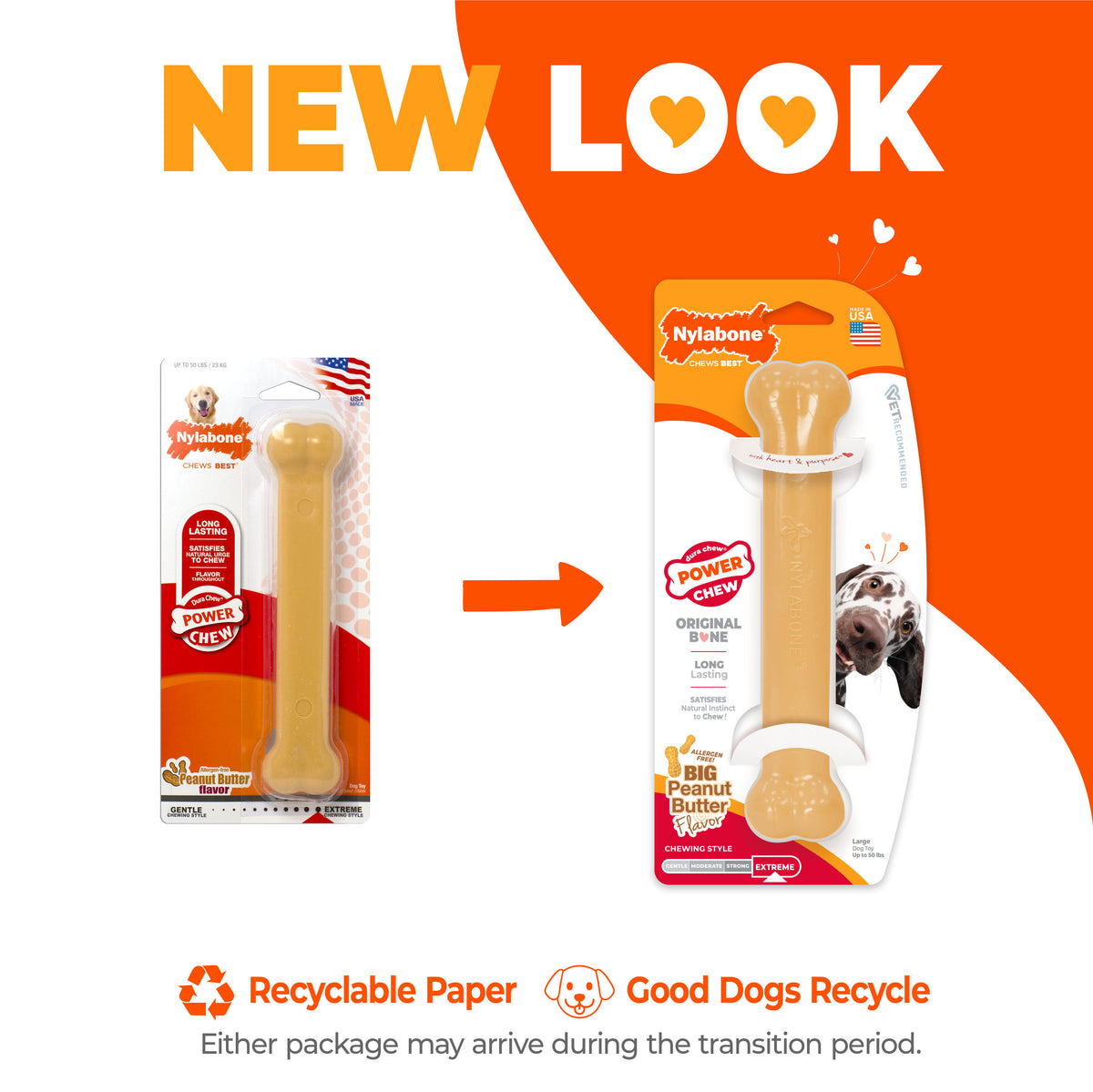 Nylabone Power Chew Bone
