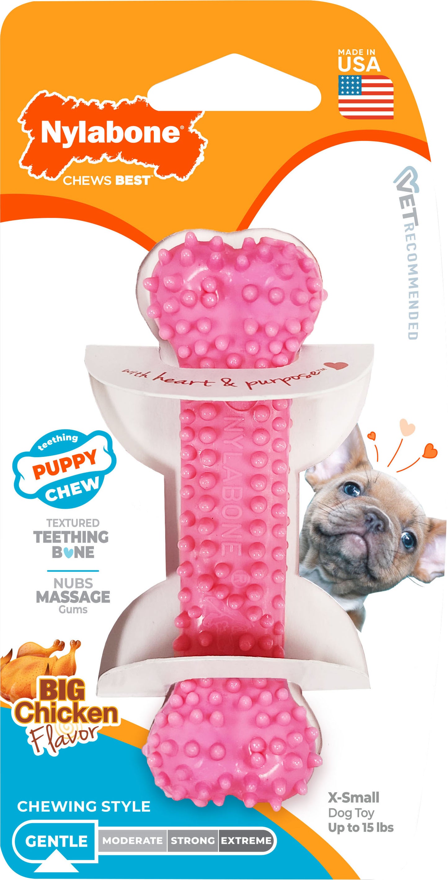 Nylabone Puppy Chew Teething Bone